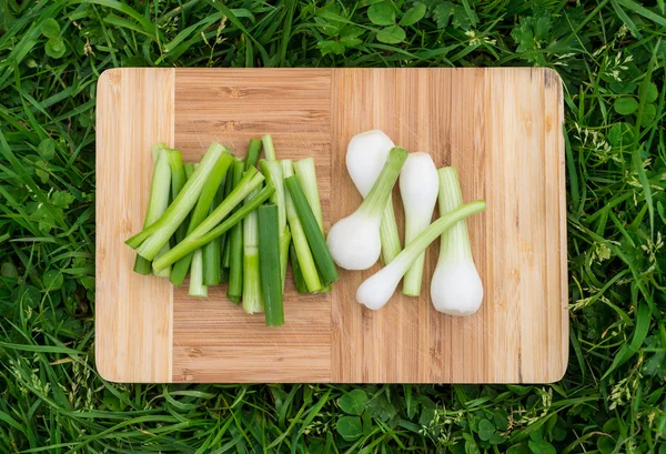 Cebolas verdes frescas na velha tábua de corte de madeira, comida close-up, tiro ao ar livre — Fotografia de Stock