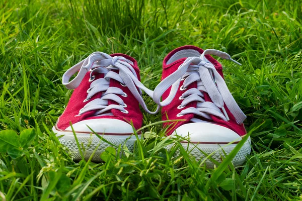 Sneakers op groen gras, Lente wandeling — Stockfoto