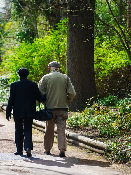 Vertical color image of a senior couple taking a walk in a park while holding hands on a sunny day — Stock Photo, Image