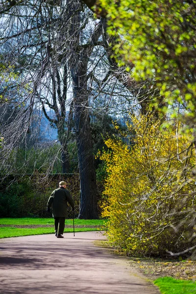 Vertical color image of an elderly man taking a walk on a sunny day in batanic gardens. — Stock Photo, Image
