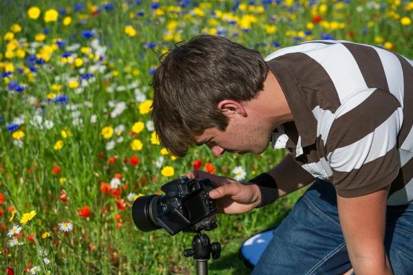 Young handsome caucasian photographer, videographer in botanic gardens — Stock Photo, Image