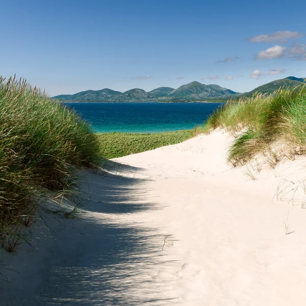 Praia ensolarada com dunas de areia, grama alta e céu azul — Fotografia de Stock