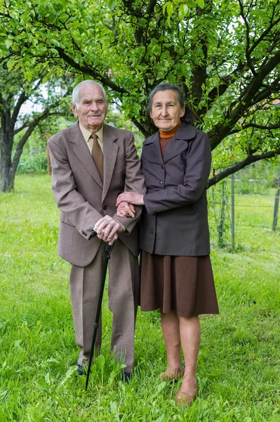 Söta 80 plus år gammal gift par poserar för ett porträtt i deras trädgård. Love forever koncept. — Stockfoto