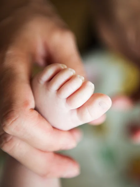 Nyfödd baby fötter i kvinnliga händer — Stockfoto