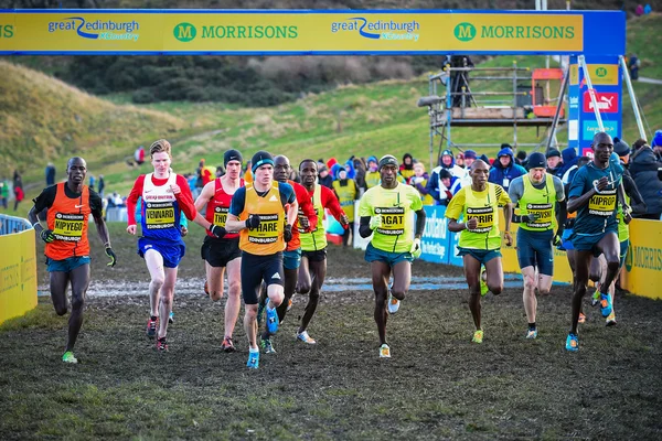 Edynburg, Szkocja, Wielka Brytania, 10 stycznia 2015 r. - rozpoczęcie wielkiego Edynburg Cross Country uruchomić. To męska Invitational 4 k wyścig wygrał zeszłoroczny mistrz Garrett Heath w Stany Zjednoczone Ameryki. — Zdjęcie stockowe