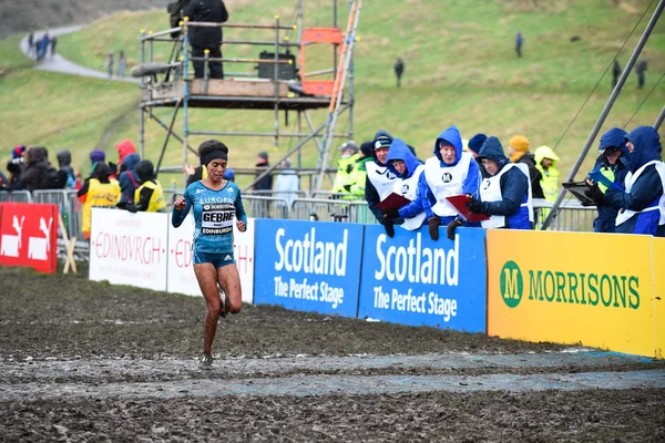 Edinburgh, Skottland, Storbritannien, 10 januari 2015 - Trihas Gebre passerar mållinjen på tredje plats i kvinnans 6 k lopp på den stora Edinburgh korsa landet drivs. — Stockfoto