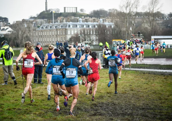 DINBURGH, SCOTLAND, UK, January 10, 2015 - elite athletes compete in the Great Edinburgh Cross Country Run. This Senior Woman's 6k race was won by Emilia Gorecka, GBR. — Stock Photo, Image