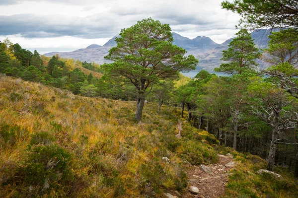 Vista dramática das belas montanhas Wester Ross e Loch Torridon, Escócia, Reino Unido — Fotografia de Stock