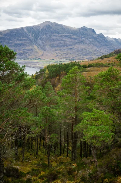 극적인 보기 아름 다운 Wester 로스 산 그리고 호수 Torridon, 스코틀랜드, 영국 — 스톡 사진