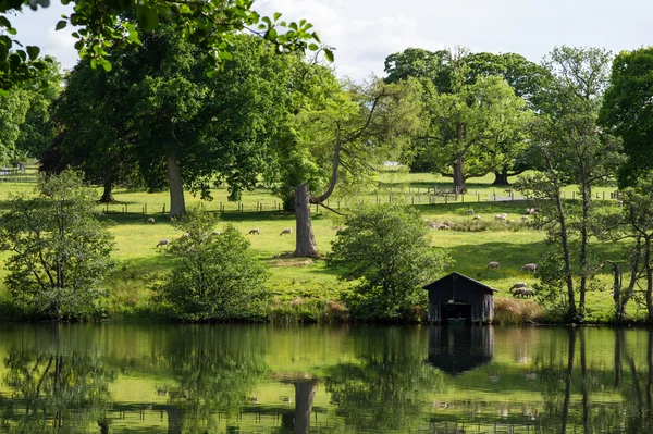 Festői legelők, juh, Scotland, Egyesült Királyság — Stock Fotó