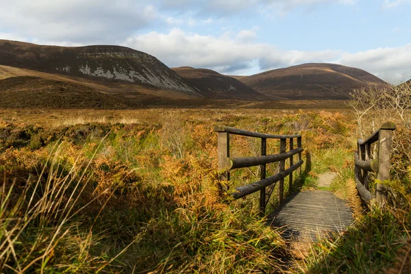 Drámai táj Orkney-szigetek Skóciában. — Stock Fotó