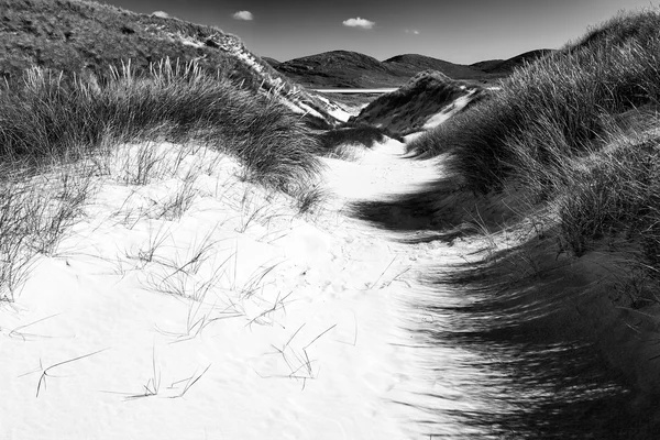 Praia ensolarada com dunas de areia, grama alta e céu azul — Fotografia de Stock