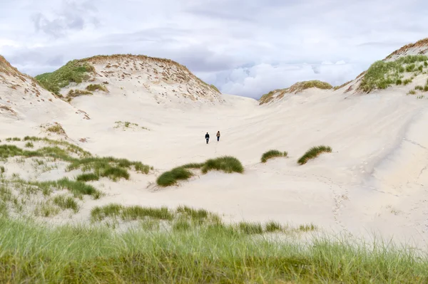 Impressive sand dunes, blue sky, tall grass and couple exploring the area — Stock Photo, Image
