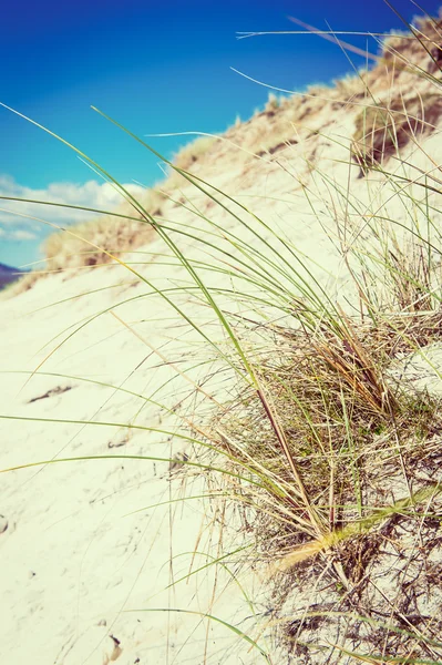 白色沙丘, 高大的草和蓝色的天空 3, luskentyre 海滩, 哈里斯岛, 苏格兰 — 图库照片