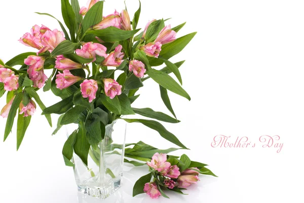 Fresh spring flowers as a holiday postcard design with copy space on white background — Stock Photo, Image