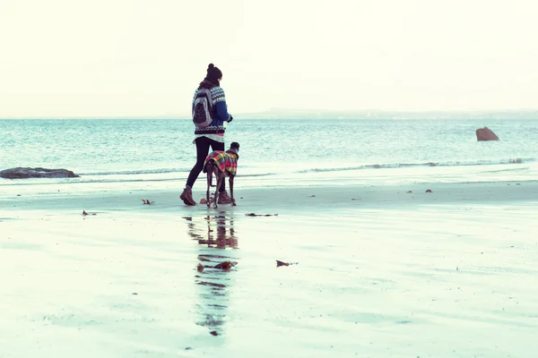 Unrecognisable hipster girl walking her dog, Greyhound, on the beach. Colorised filter effect image. — Stock Photo, Image