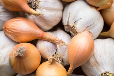 Taze organik sarımsak ve soğan, temiz kavramı yeme kapatmak