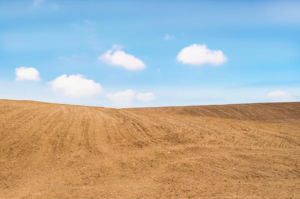 Landbouwveld met bodem en blauwe lucht — Stockfoto