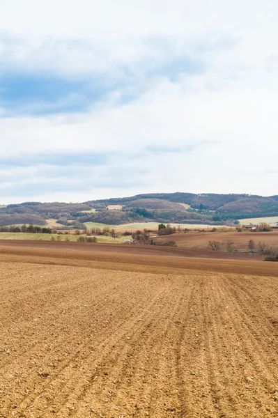 Agricultural field with soil and blue sky — Stock Photo, Image