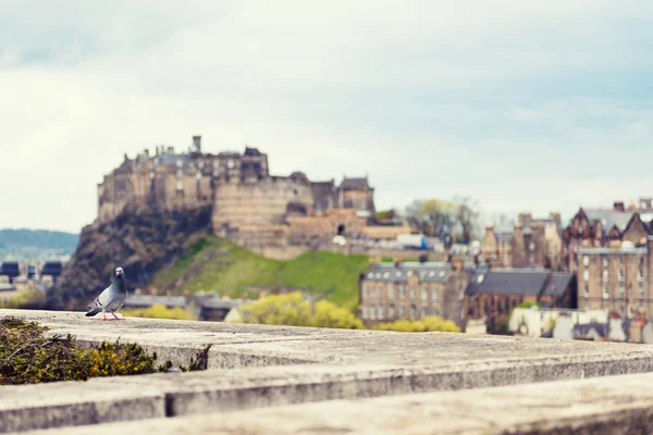 Edimburgo incluindo a paisagem urbana do Castelo com céus dramáticos — Fotografia de Stock