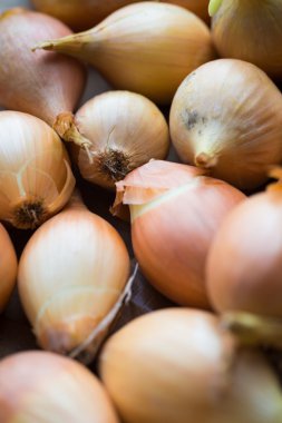 Taze altın organik soğan, kavram yeme temiz