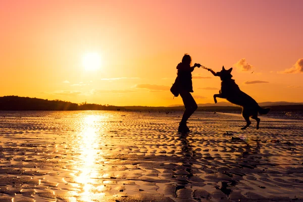 Hipster meisje met hond spelen op een strand bij zonsondergang, silhouetten met levendige kleuren — Stockfoto