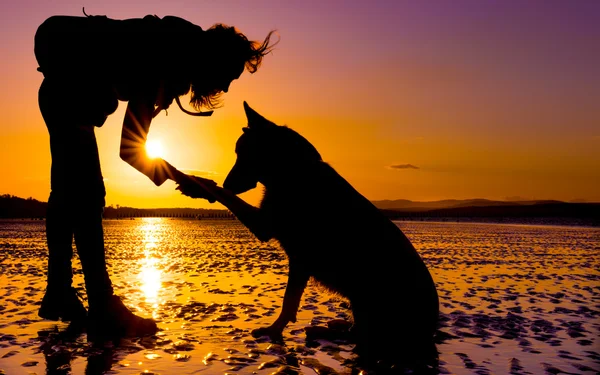 Hipster menina brincando com o cão em uma praia durante o pôr do sol, silhuetas com cores vibrantes — Fotografia de Stock