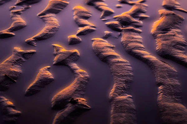 Créations abstraites de sable marin à l'heure dorée — Photo
