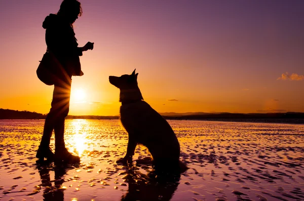 Gadis hipster bermain dengan anjing di pantai selama matahari terbenam, siluet dengan warna cerah — Stok Foto