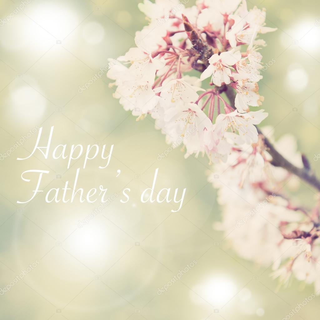 Fathers day concept, Spring border background with white blossom, colorised image with sun flare
