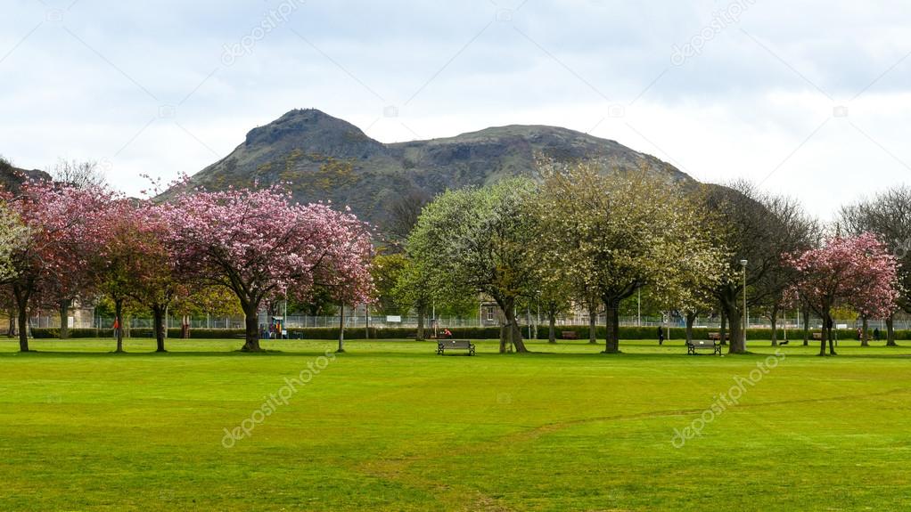 Spring in Meadows park, Edinburgh, with Arthurs seat view
