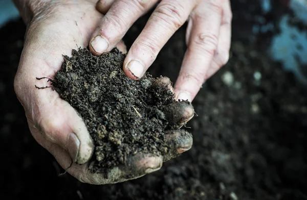 Oude vrouw handen met verse bodem. Symbool van voorjaar en ecologie concept — Stockfoto