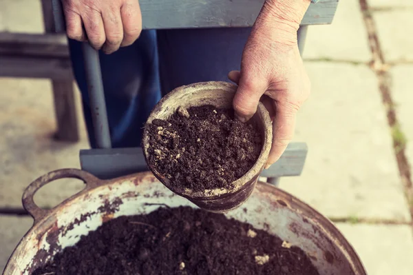 Stara kobieta wypełniając garnek gleba świeża. Symbol wiosny i czyste jedzenie koncepcja — Zdjęcie stockowe