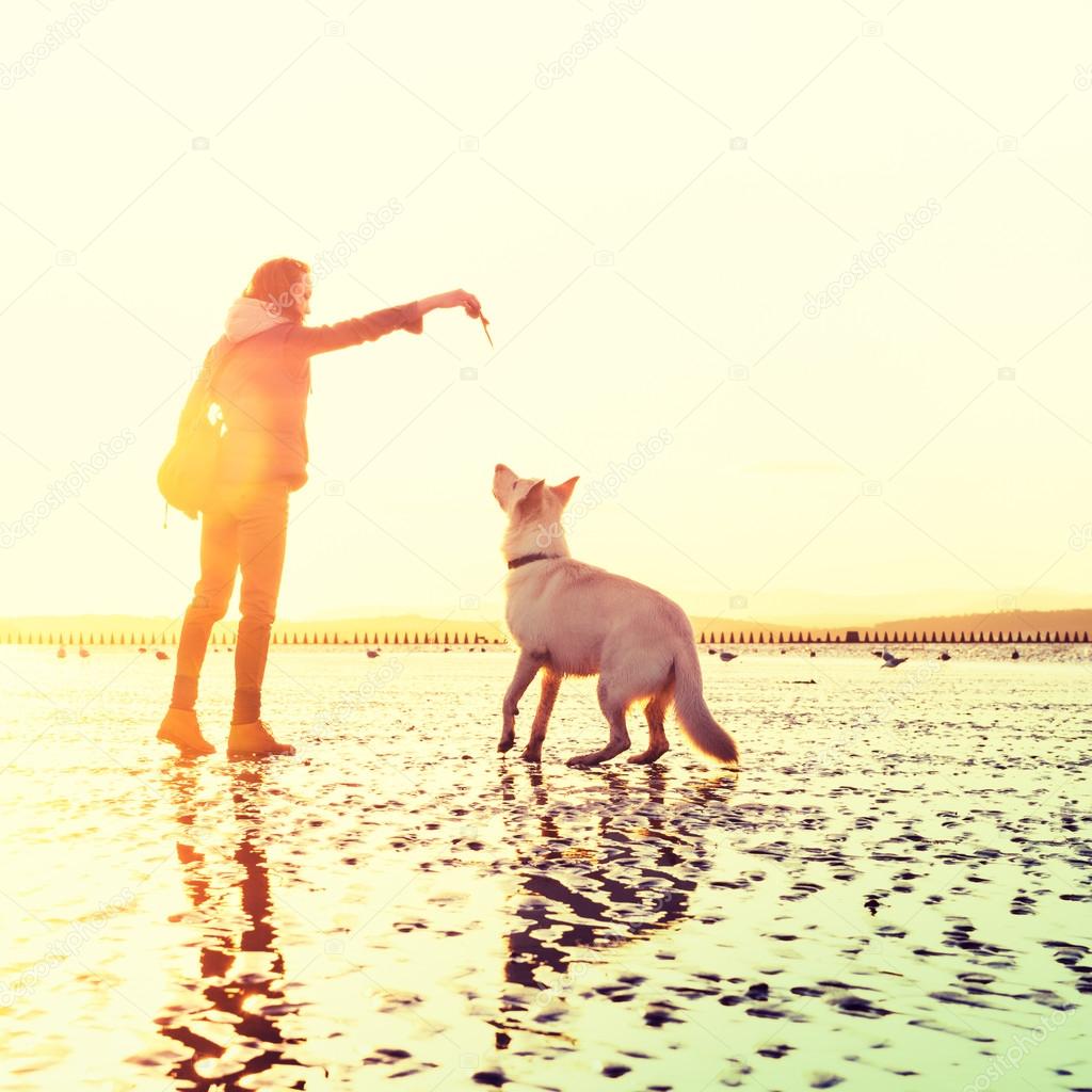 Hipster girl playing with dog at a beach during sunset, strong lens flare effect