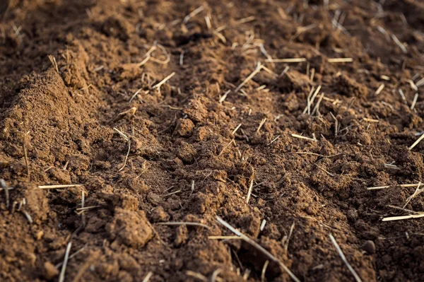 Ploughed field, soil close up, agricultural background — Stock Photo, Image