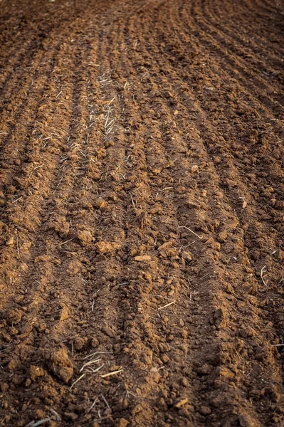 Ploughed field, soil close up, agricultural background — Stock Photo, Image