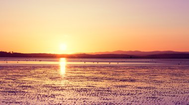 Cramond beach, Edinburgh, günbatımı zamanı adlı