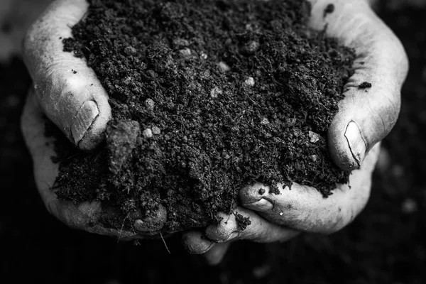 Παλιά τα χέρια γυναίκα που κρατούν το φρέσκο χώμα. Σύμβολο της έννοιας της άνοιξης και της οικολογίας — Φωτογραφία Αρχείου