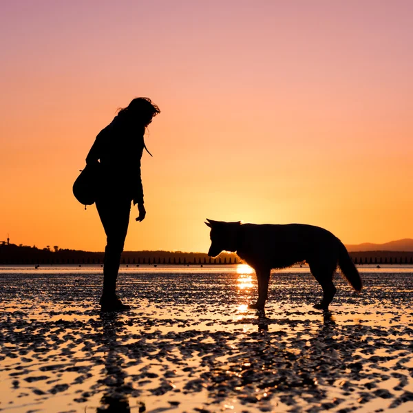 Fata Hipster se joacă cu câinele pe o plajă în timpul apusului de soare, siluete cu culori vibrante — Fotografie, imagine de stoc
