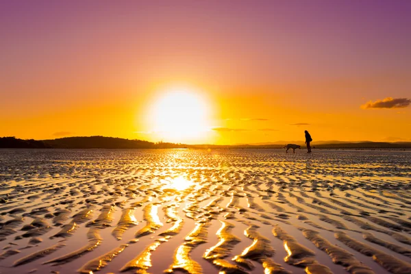 Hipster girl playing with dog at a beach during sunset, silhouettes with vibrant colors — Stock Photo, Image