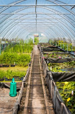 Large greenhouse, plant nursery, garden centre clipart