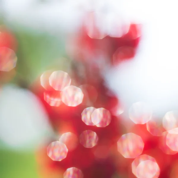 Résumé fond bokeh circulaire rouge et vert — Photo