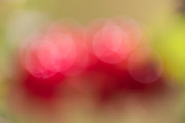 Résumé fond bokeh circulaire rouge et vert — Photo