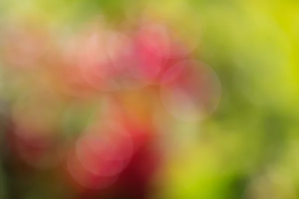 Abstract red and green circular bokeh background — Stock Photo, Image