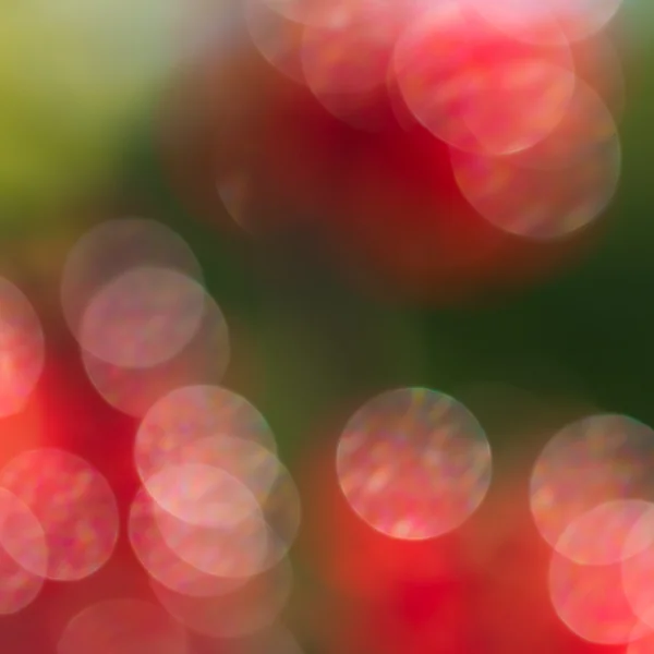 Abstract red and green circular bokeh background — Stock Photo, Image