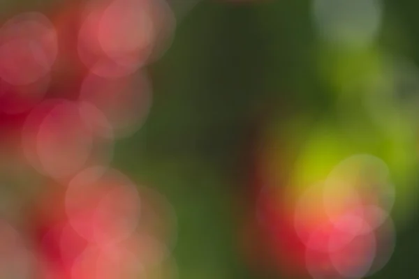 Abstrakte rote und grüne runde Bokeh Hintergrund — Stockfoto