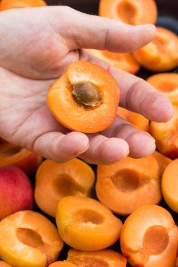 Anonim adam taze homegrown kayısı ikiye bölme