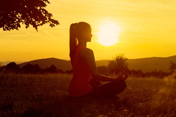 Pratik Yoga bir çayır, günbatımı, siluet üzerinde genç atletik kadın — Stok fotoğraf