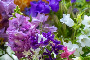 Mor ve mavi tonlarında taze kesilmiş bahar çiçeklerini kapatın. Güzel dezenyum, Canterbury çanları ve aslanağzı. Çiçek detay çekimi. 