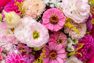 Yaz buketi. Güzel pembe yıldız çiçekleri, lisianthus ve zinya çiçekleri. Doğum günü ya da düğün buketi yaz çiçeklerinden yapılmıştır..